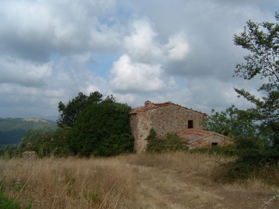 Campo ai Bizzi